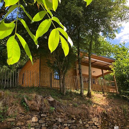 Camping Moulin De Chaules Saint-Constant Exterior foto